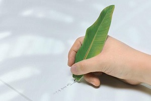 產(chǎn)品設(shè)計中的仿生設(shè)計