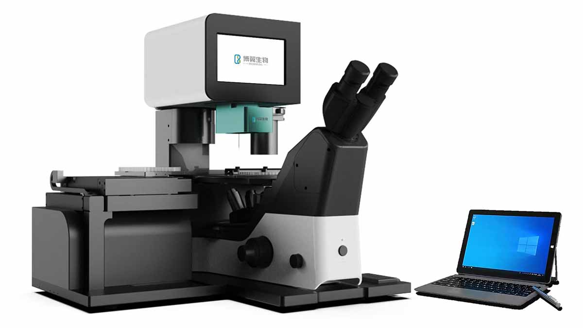 顯微細(xì)胞挑取儀設(shè)計(jì)-5.jpg 顯微細(xì)胞挑取儀設(shè)計(jì)-5.jpg